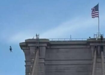 VIDEO: Hombre escala el Puente de Brooklyn, se desnuda y salta al East River