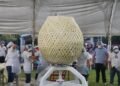 ¡El quesillo más grande del planeta! Chiapas presume nuevo Récord Guinness