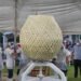 ¡El quesillo más grande del planeta! Chiapas presume nuevo Récord Guinness