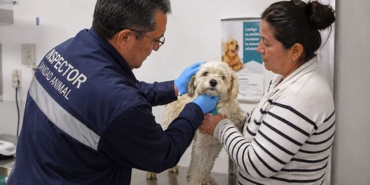 ¿Sabes cuál es el nuevo filtro contra el gusano barrenador? Esto deberán cumplir perros y aves que llegan de EU