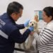 ¿Sabes cuál es el nuevo filtro contra el gusano barrenador? Esto deberán cumplir perros y aves que llegan de EU