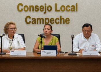Participación indígena en elecciones, a debate; esto propone el Instituto Electoral