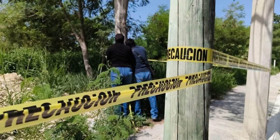 ¡Escándalo ambiental! ¿Cómo pasó desapercido un presunto basurero?