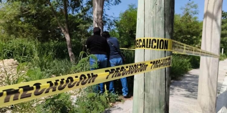 ¡Escándalo ambiental! ¿Cómo pasó desapercido un presunto basurero?