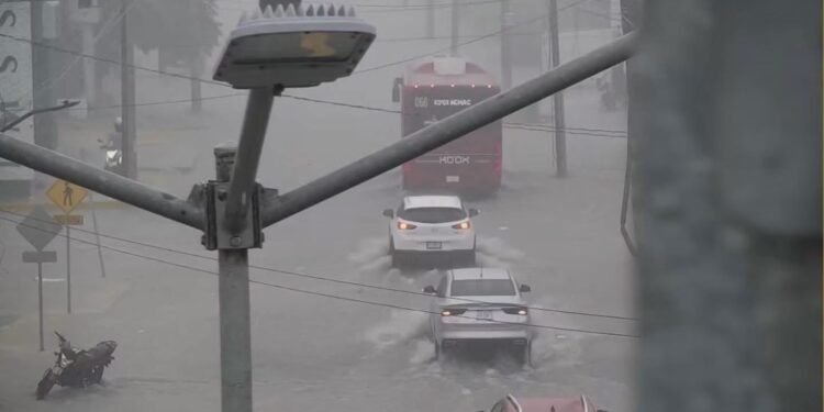 Alerta en Imí: poste derribado pone en riesgo a los vecinos y transeúntes