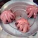 ¡Se hunde la zafra del pulpo! Temporada arranca con números devastadores