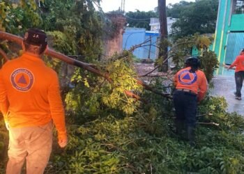 Tormenta en Campeche: 70 milímetros de lluvia dejan autos arrastrados, árboles caídos e inundaciones