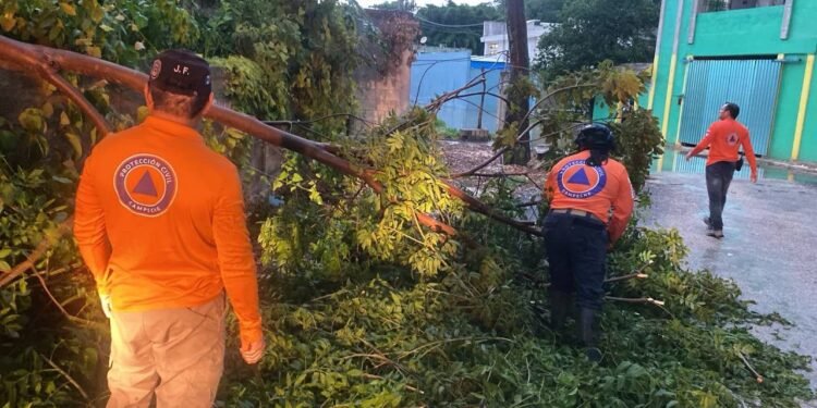 Tormenta en Campeche: 70 milímetros de lluvia dejan autos arrastrados, árboles caídos e inundaciones