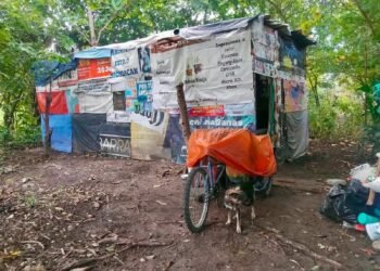 Rescatan a cachorros por presunto maltrato; Fiscalía investiga el caso