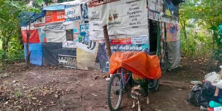 Rescatan a cachorros por presunto maltrato; Fiscalía investiga el caso