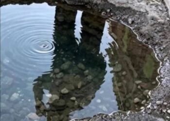 ¿Mini cenote o bache? Turistas convierten una calle en escenario fotográfico