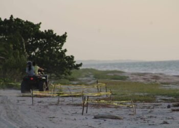 ¡No respetaron ni los nidos! Irrumpen con 4×4 en campamento tortuguero