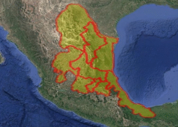 ¿Has visto este cilindro? Alertan por robo de gas cloro que puede ser mortal
