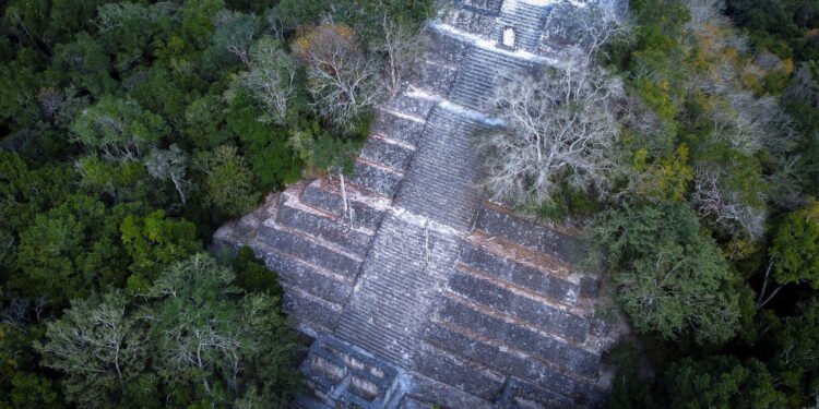 Unesco descarta incluir a Calakmul en la Lista del Patrimonio Mundial en Peligro