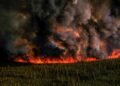 La ciencia desafía la versión de Trump sobre los incendios forestales