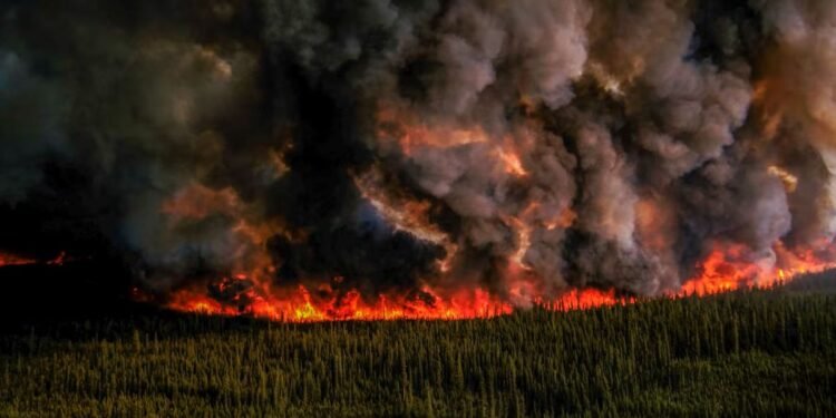 La ciencia desafía la versión de Trump sobre los incendios forestales