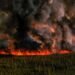 La ciencia desafía la versión de Trump sobre los incendios forestales