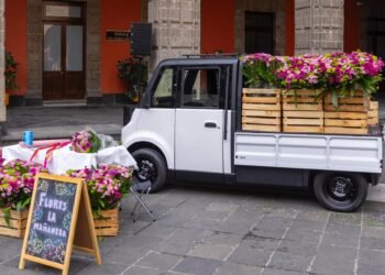 Olinia Carga quiere entrarle al negocio: 650 kilos y electricidad para trabajar