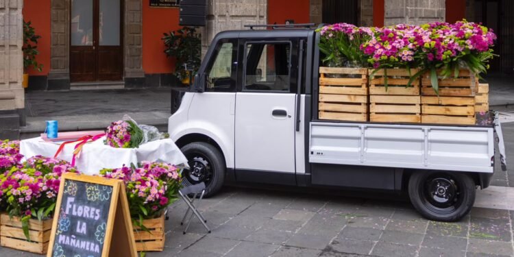 Olinia Carga quiere entrarle al negocio: 650 kilos y electricidad para trabajar