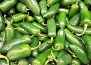 ‘¡Sin salsa, por favor!’: Taylor Farms retira productos con jalapeño por riesgo sanitario
