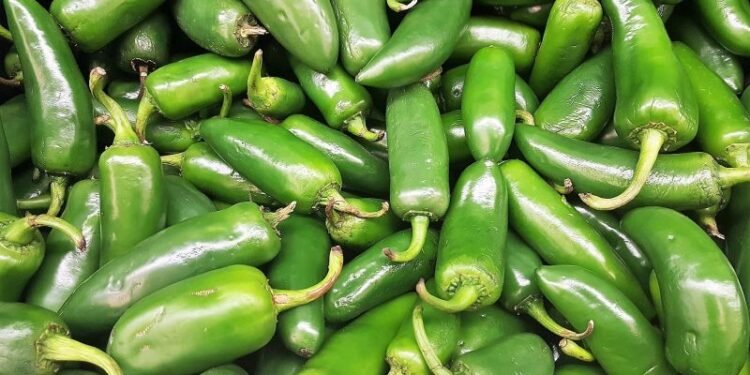 ‘¡Sin salsa, por favor!’: Taylor Farms retira productos con jalapeño por riesgo sanitario