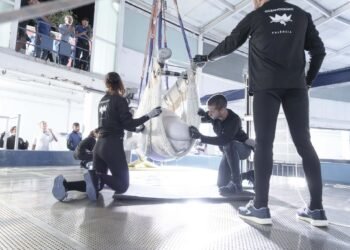 De la amenaza de eutanasia a una nueva vida: seis cetáceos llegan a España