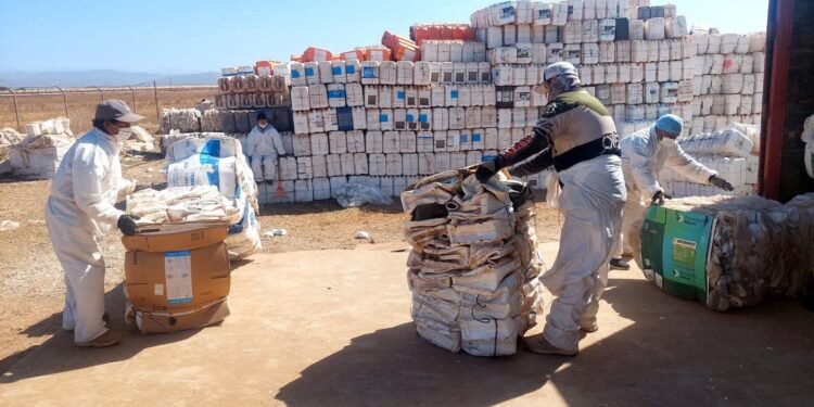 ¿Dónde estaban? Sacan 70 toneladas de envases del campo de Baja California
