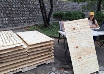 Osos en extinción, tablas con clavos y una denuncia: la polémica en Nuevo León