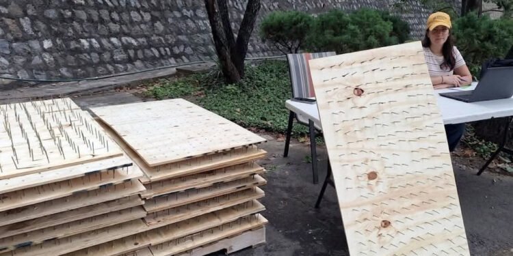 Osos en extinción, tablas con clavos y una denuncia: la polémica en Nuevo León