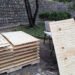 Osos en extinción, tablas con clavos y una denuncia: la polémica en Nuevo León