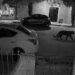 ¡Pudo terminar peor! Pantera en las calles de Durango reaviva alerta por posesión de fauna silvestre