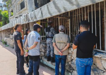 Profepa busca supuesto jaguar cautivo en la zona hotelera de Cancún