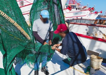 Redes con “puerta de escape”: certifican barcos de Campeche para proteger tortugas marinas