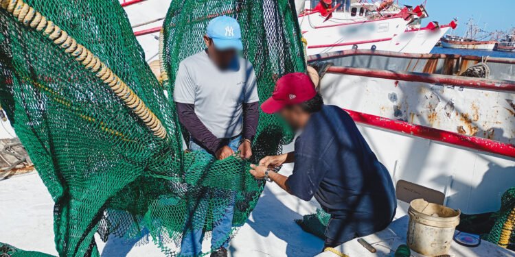 Redes con “puerta de escape”: certifican barcos de Campeche para proteger tortugas marinas