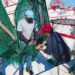 Redes con “puerta de escape”: certifican barcos de Campeche para proteger tortugas marinas