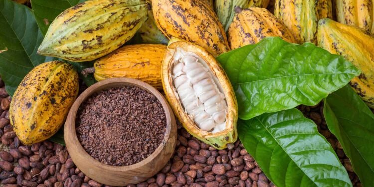 Celera el día del Chocolate: cinco datos sorprendentes sobre el cacao