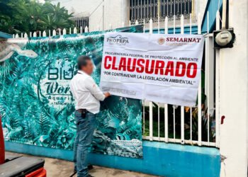 El negocio de los reptiles, bajo lupa: Profepa asegura tres animales en Chiapas