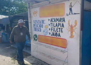 ¿Carne de cocodrilo a la venta? Clausuran negocio tras hallar 4.5 kilos en congeladores