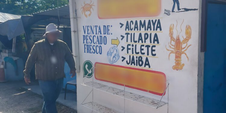 ¿Carne de cocodrilo a la venta? Clausuran negocio tras hallar 4.5 kilos en congeladores