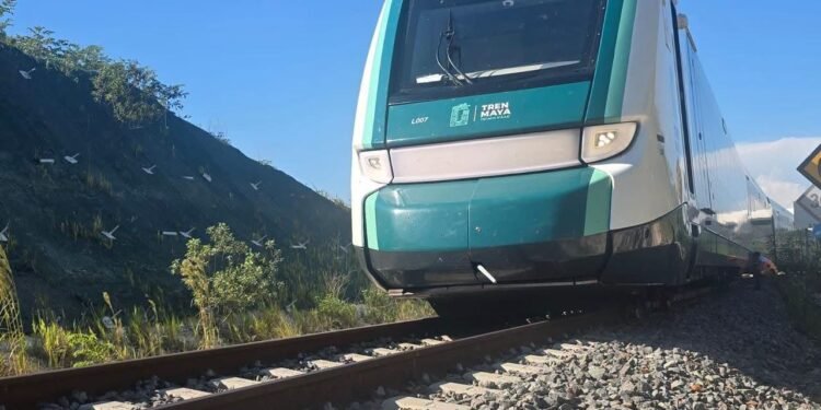 Tren Maya en Campeche: evacúan a 123 pasajeros tras percance
