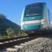 Tren Maya en Campeche: evacúan a 123 pasajeros tras percance