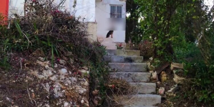 Investigan posible maltrato animal: hallan a perro amarrado a una ventana
