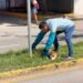 Tres cámaras y un testigo, claves en el atropellamiento de un lomito en la López