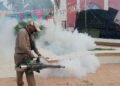 ¡Alerta por dengue en Campeche! Detectan más de 5 millones de huevecillos de mosquito