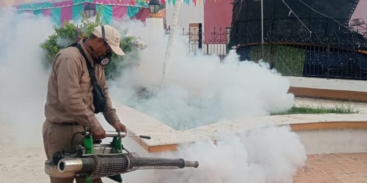 ¡Alerta por dengue en Campeche! Detectan más de 5 millones de huevecillos de mosquito