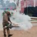 ¡Alerta por dengue en Campeche! Detectan más de 5 millones de huevecillos de mosquito