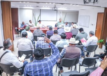 ¡En alerta el campo campechano! Refuerzan batalla contra el gusano barrenador