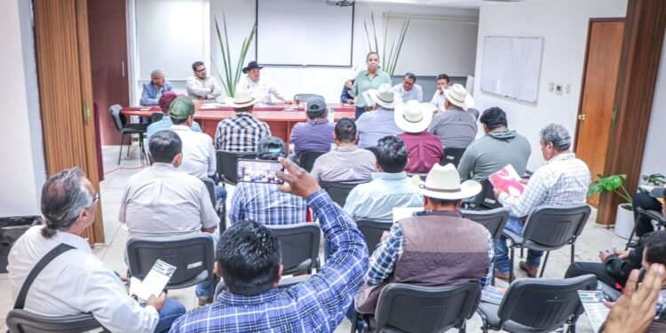 ¡En alerta el campo campechano! Refuerzan batalla contra el gusano barrenador
