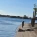 Alarma ambiental en Carmen, hallan delfines muerto en “La Playita”