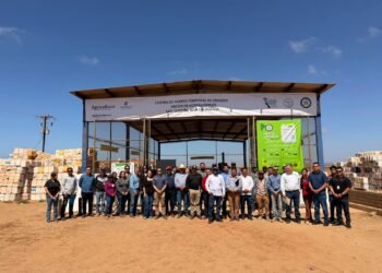 Abren crédito para productores de bovino-carne en Campeche
